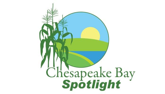 Chesapeake Bay Spotlight Logo