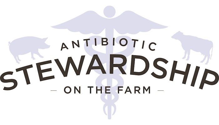 Antbiotic Stewardship Logo