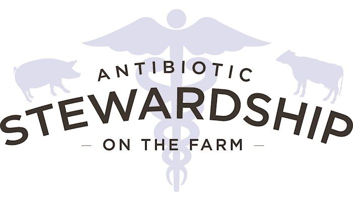 Best practices guide farmers in protecting effectiveness of antibiotics