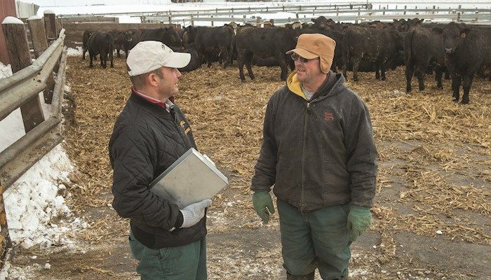 Management plans help livestock farmers care for animals