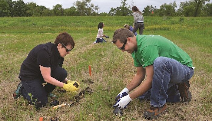 Iowa farmers work to promote bees and butterflies