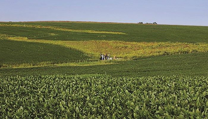 IFBF board urges EPA to improve crop protection approval process