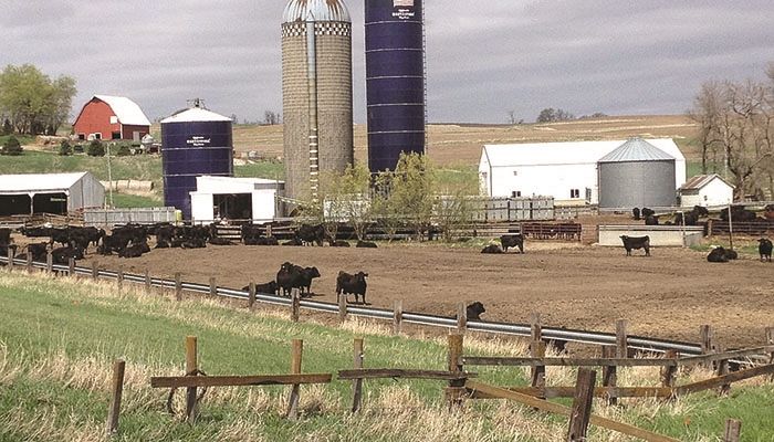 Iowa farmland prices decline for third straight year