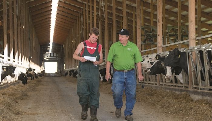 NW Iowa dairy farm thrives on family teamwork