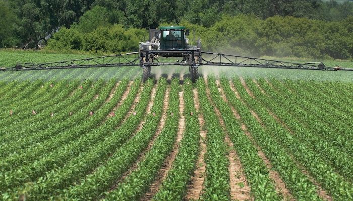 Developing a strategy for fungicide applications
