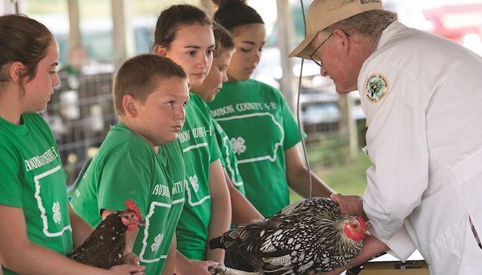 Poultry exhibitors flock back to Iowa’s fairs