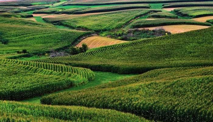 Iowa landowners, farmers collaborate on conservation 