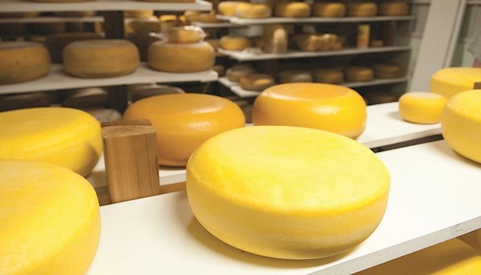 USDA cheese purchase reduces massive supplies