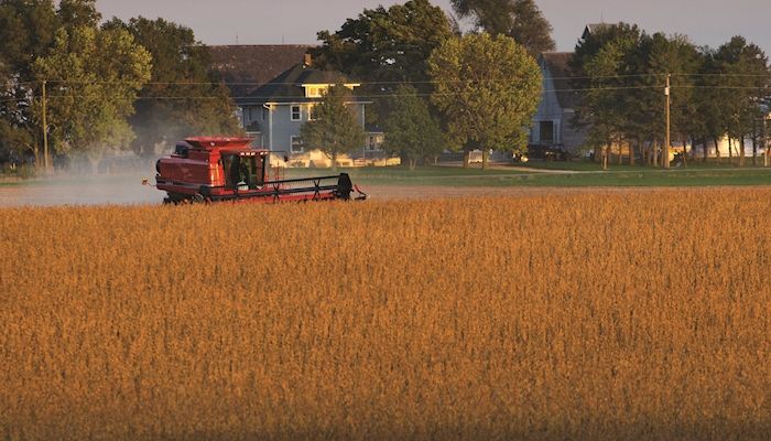 Big harvests show the need to pass the TPP