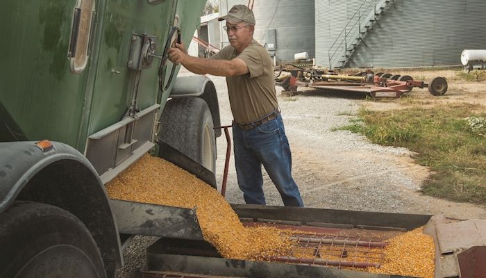 Landus adds storage, grain-handling capacity in three locations