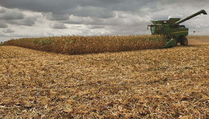 With El Nino faded, favorable harvest weather predicted 