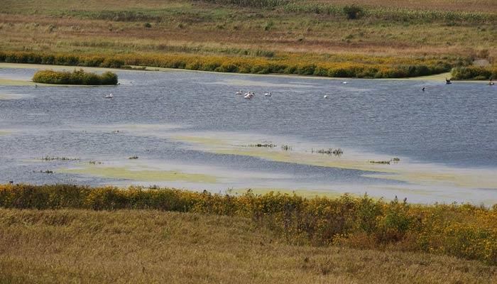 The USDA awards conservation grants to 3 Iowa projects