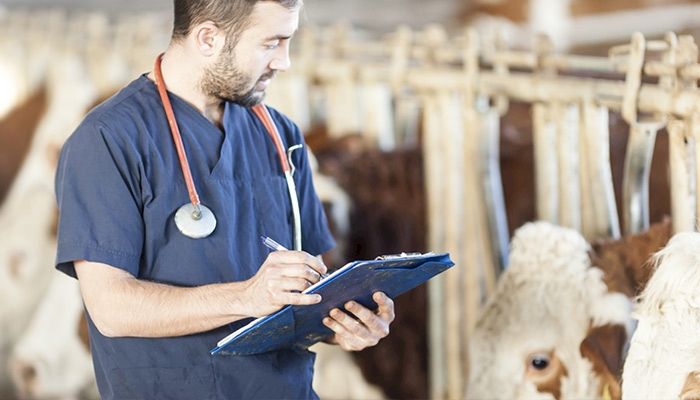 IFBF to host webinar on new  vet rules on antibiotic use 