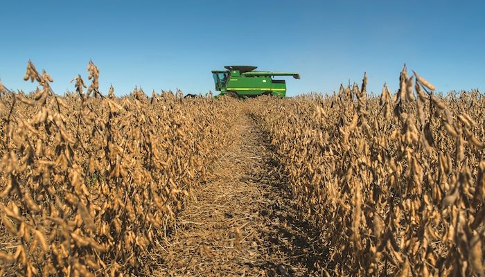 USDA forecasts record soybean and corn crops