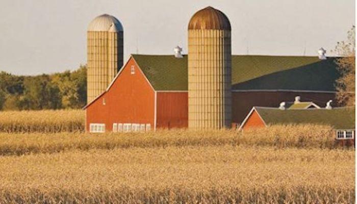 Tight margins continue to pressure Iowa farmland values