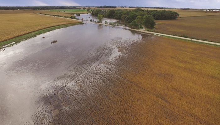 Heavy rains swamp NE Iowa, sprouts grain quality concerns