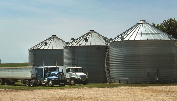 More grain in storage, but demand remains robust