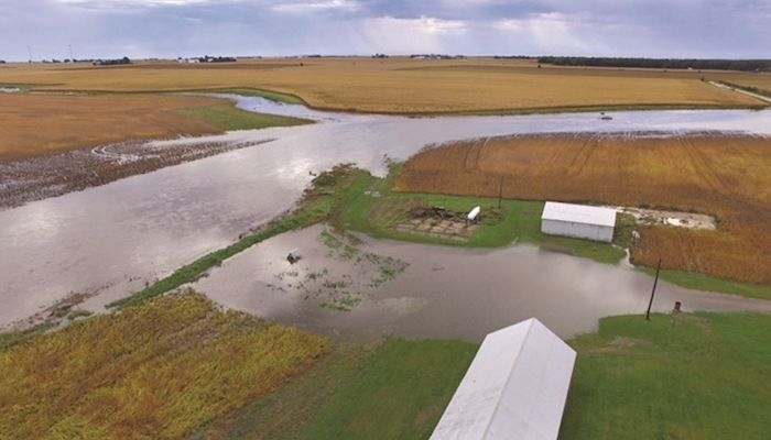 Recent deluge shows value of conservation