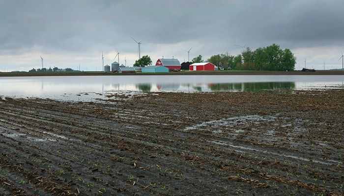 Farmers assess crop damage as flood water recedes