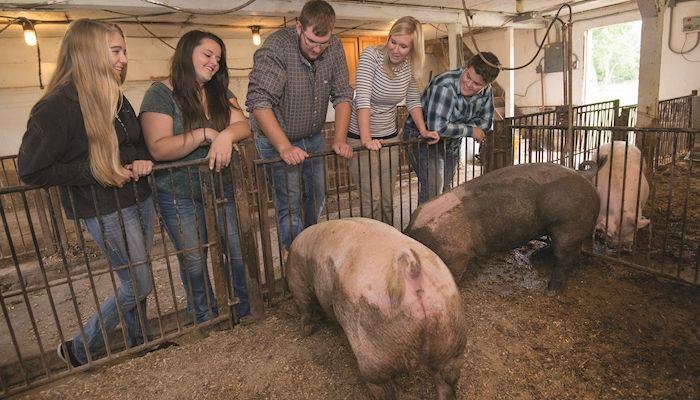 FFA students renovate barn into ag learning classroom