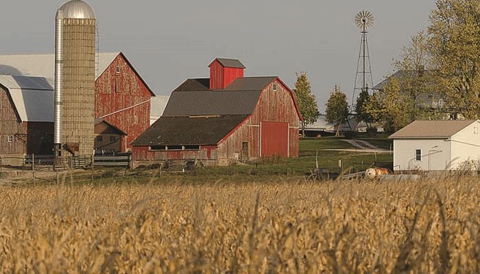 IFBF seeking opinions on farm bill survey