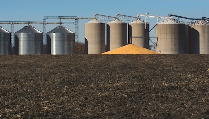 October report reveals clues about final yields