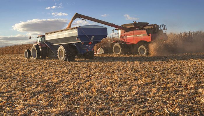 Damp conditions slow harvest, farmers report strong yields