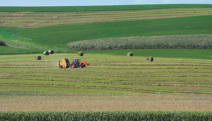 Iowa Hay Auctions - Nov 2, 2016