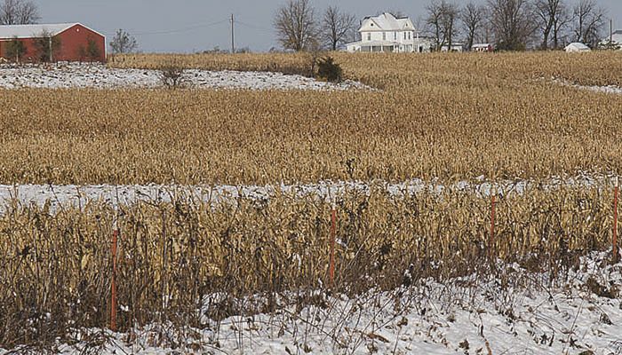 After a warm fall, a cooler winter could be on deck 