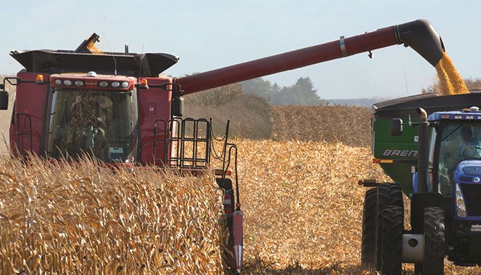 Corn yields exceeding expectations