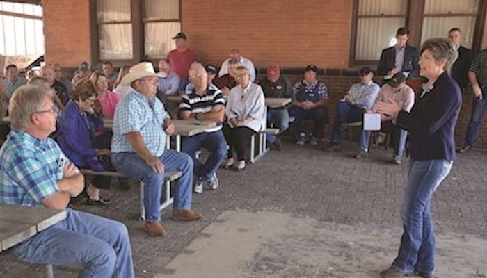 Ernst: Regulations, low commodity prices are key challenges for Iowa ag