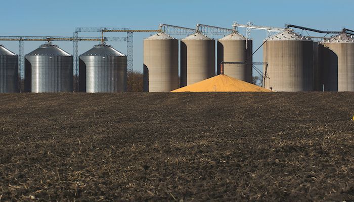 Tight storage and extra bushels add pressure to crop prices