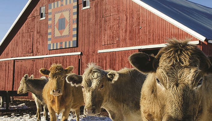 Iowa Hay Auctions - Nov. 16, 2016