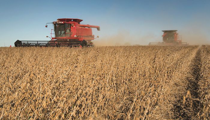 Robust Iowa, U.S. crops forecast to set records