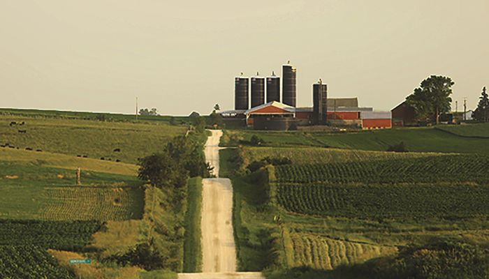 Banker survey shows Iowa farmland prices, credit conditions declining 