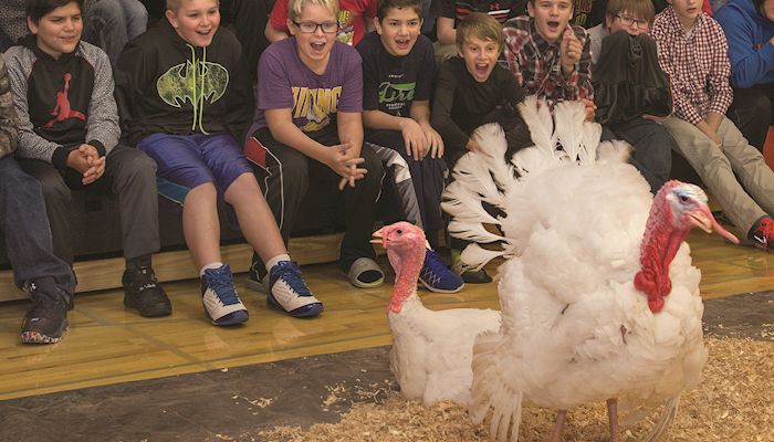 Pardon me: Iowa turkeys in line for the presidential release