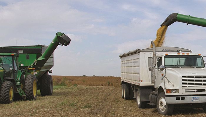 Weather, genetics boost soy yields to record levels