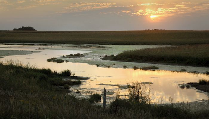 Iowa lawmakers ask Trump to ditch WOTUS