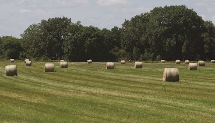 Iowa Hay Auctions - Dec. 7, 2016