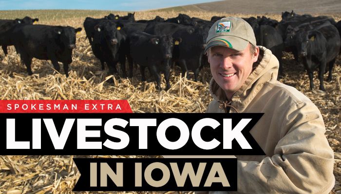 Spokesman Extra: Livestock In Iowa