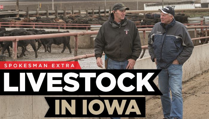 Livestock production is a powerful engine for Iowa’s economy