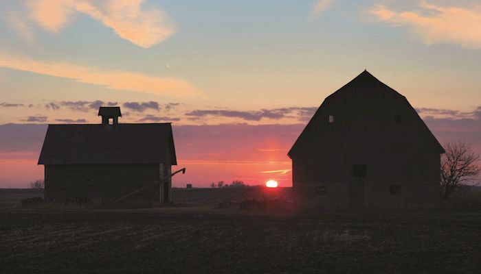 Trump election boosts farmer outlook