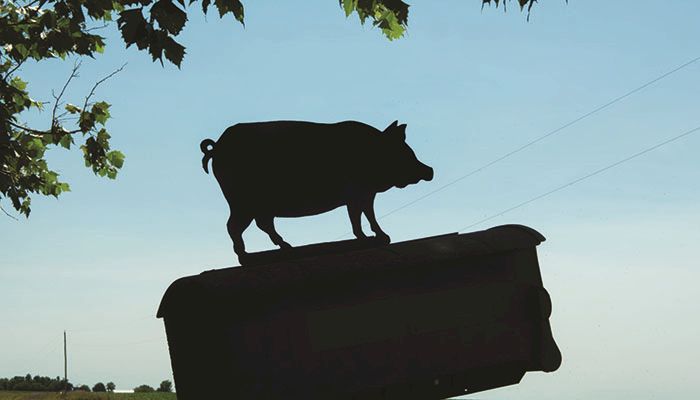 Check out these special events at the Iowa Pork Congress