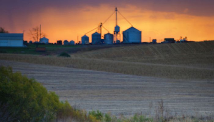 Optimism is sprouting in farm country