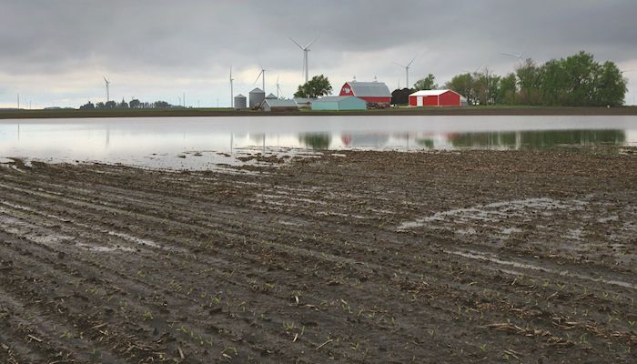 Care and planning necessary when restoring flooded fields