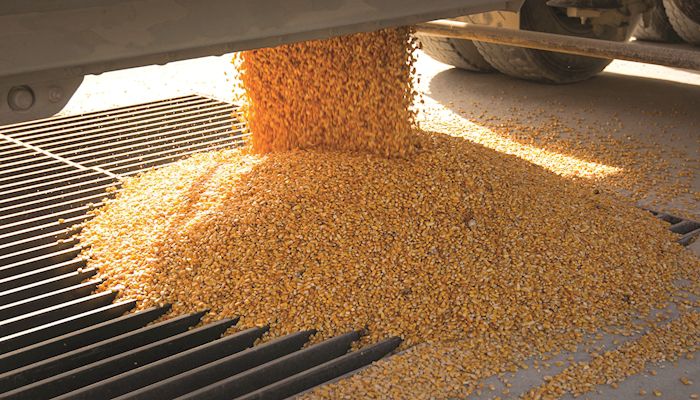 Corn board works to create stable demand for Iowa’s crop