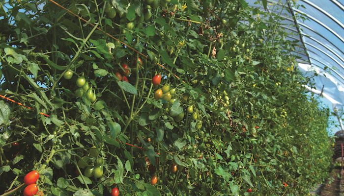 Leopold Center celebrates 30 years of serving Iowa farmers