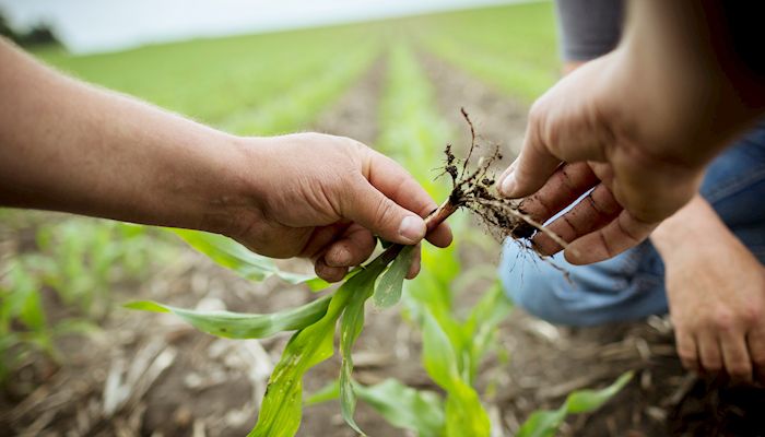 Bankers: Farmland prices may be stabilizing