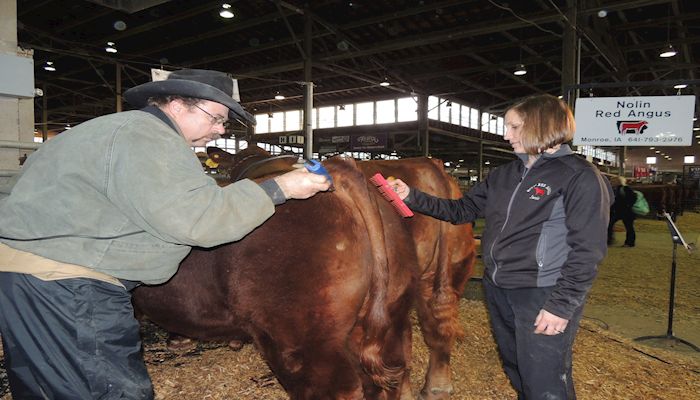 Families carry on their traditions at Iowa Beef Expo