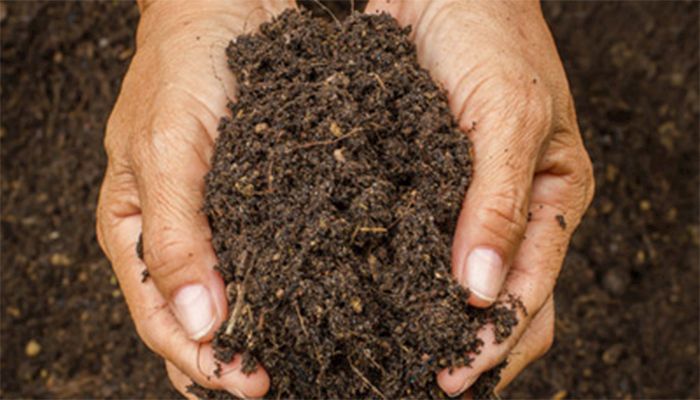 Iowa soil moisture varies heading into the growing season